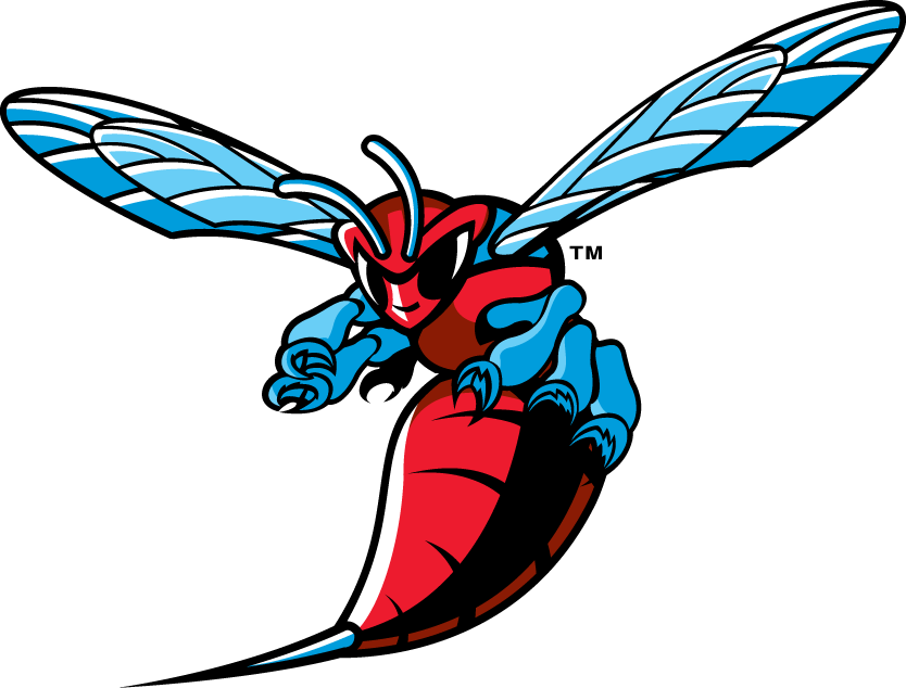Delaware State Hornets transfer